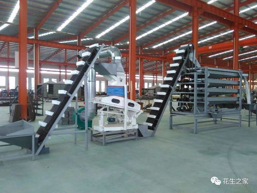 青島楓林花生機械 專業機械設備，驅動產業升級