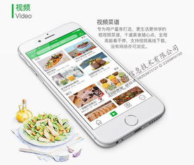 菜譜大全App開發 大廚唾手可得，移動互聯技術賦能美食生活